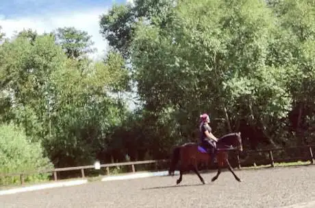 Photo de KR Equestrian