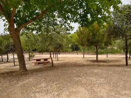Photo de Municipal de Tocina Park