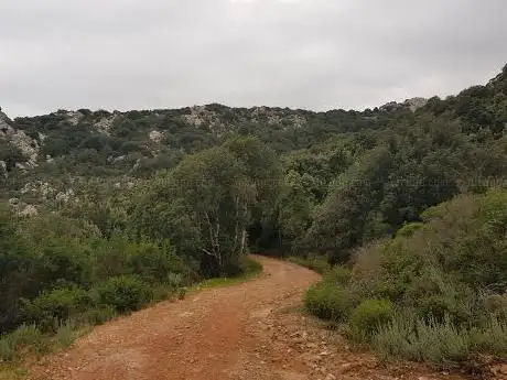 Bivio Nuraghe Su Gattu