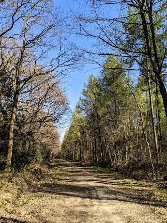 Photo de Hurst Wood