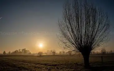 natuurgebied Langemeersen
