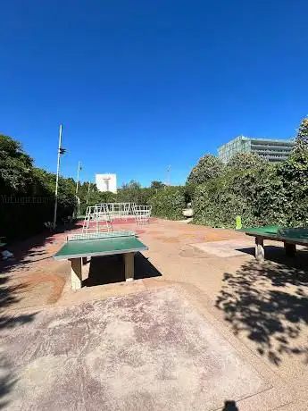 Taules de Ping-pong