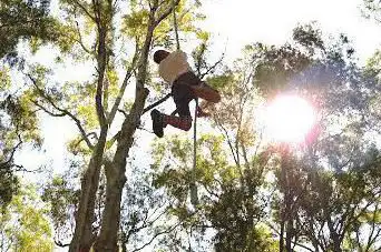 Parc Aventure de Porto-Vecchio