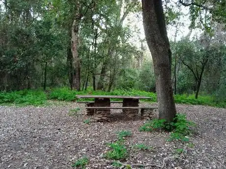 Pixinortu Park