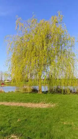Photo de Etangs Champforgeuil