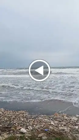 Photo de Spiaggia di Foce Ofanto