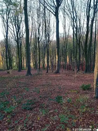 Wandelknooppunt 86