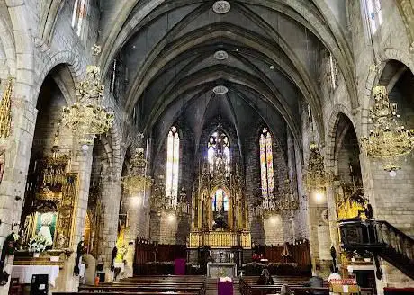 Basilica of the Immaculate Conception
