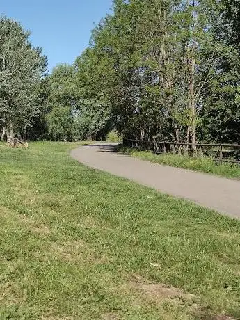 Photo de Pista Ciclabile