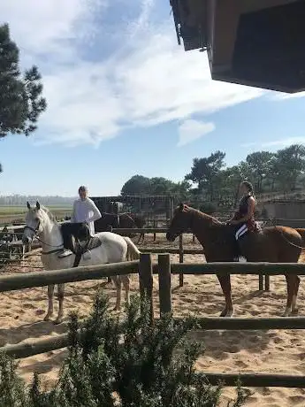 Photo de Cavalos na Areia