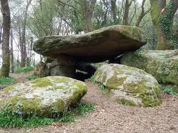 Photo de Kergonfalz dolmen