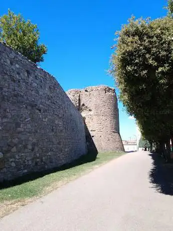 Photo de Museum of Norman culture