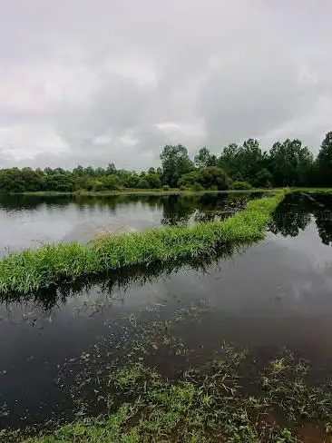 Plan d'eau de l'enclos