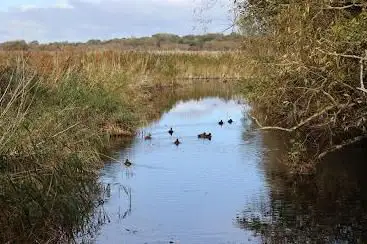 Photo de Stodmarsh Nature Reserve