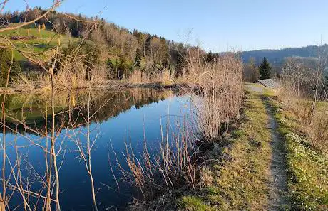 Feuerstelle Ritterweiher
