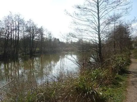 Photo de Salt Line Mid-Point