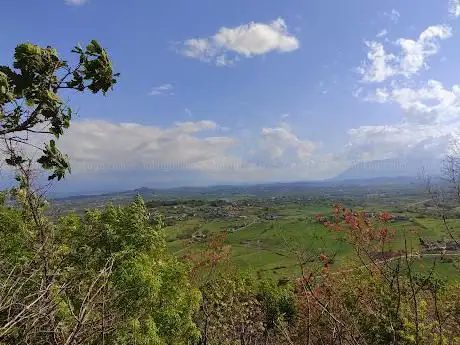 Oasi della Mola Palatta