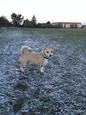 Photo de North Street Playing Field