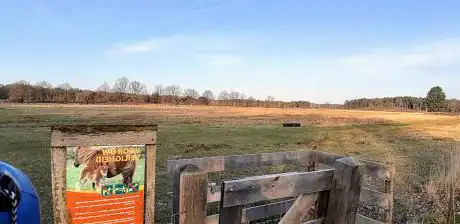 De Teut begrazingsblok