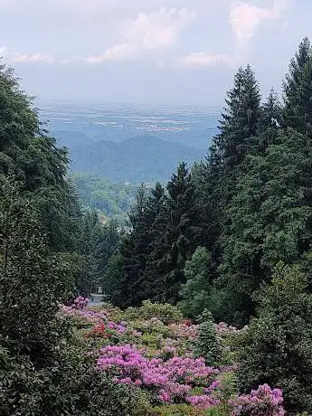 Oasi Zegna. Sentiero salita al Bo