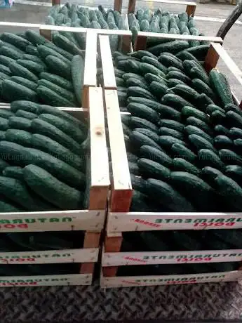 C.A.P.O. Cooperativa Agricola Produttori Ortofrutticoli