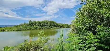 Photo de Riserva Naturale del Lago di Sibolla
