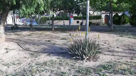 Photo de Plaza Leoncio Sánchez Sáez