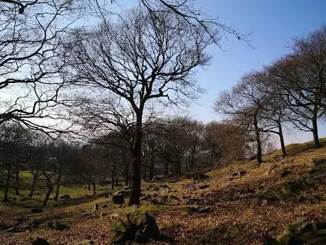 Photo de Hamer Pasture Reservoir