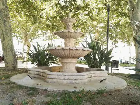 Photo de Arbol Ficus centenarios