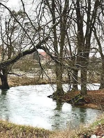 Photo de Parc aux daims