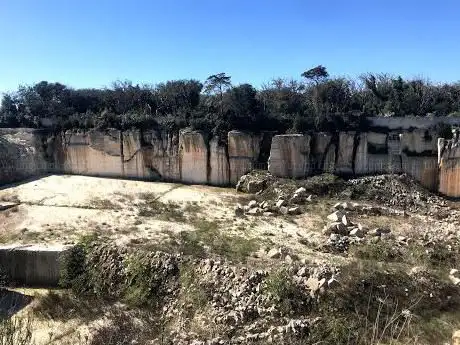 Bosco san Sidero