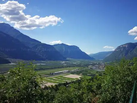 Bosco della Città
