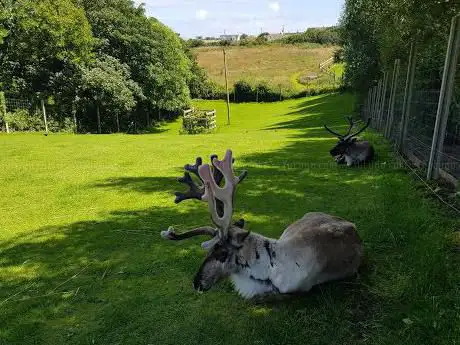 Feadon Wildlife & Education Centre