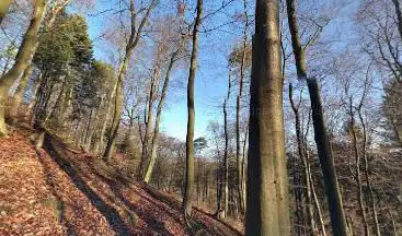 Felsengarten am Dudelsack