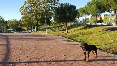Photo de Parque