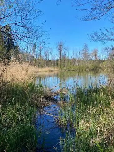 Photo de Gerlafingerweiher