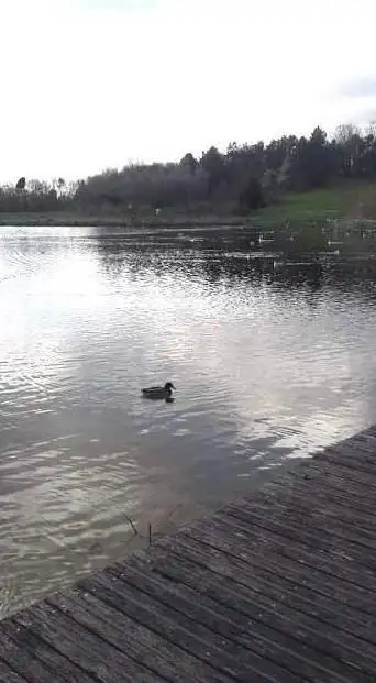 Photo de Courneuve State Park