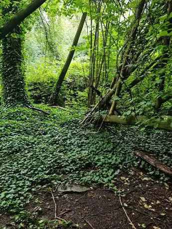 Photo de Parc de la Vill'A