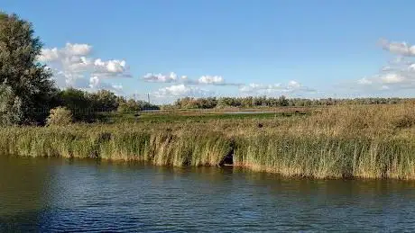 Photo de Nationaal Park de Biesbosch