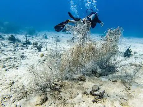 Photo de Diving center of islets