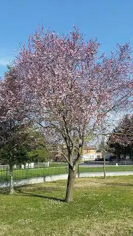 Associazione Studenti Biblici Di Ferrara