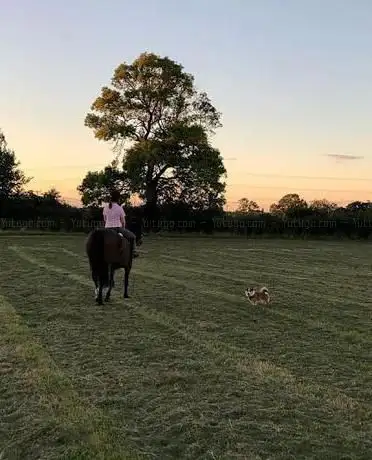 Home Farm Country Ride