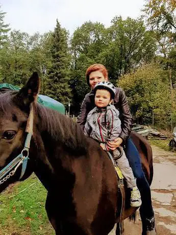 Ponyhof Hardter Forest