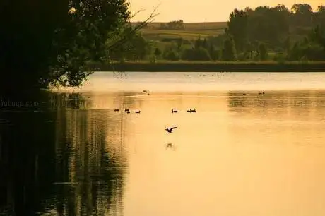 Photo de Lac de Lamontjoie