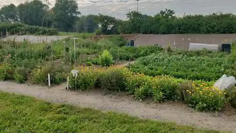 Photo de Jardins Partagés