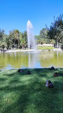 Photo de Veredillas Park
