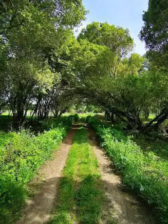 Monte Xunqueira