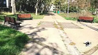Photo de Parc Caillebotte