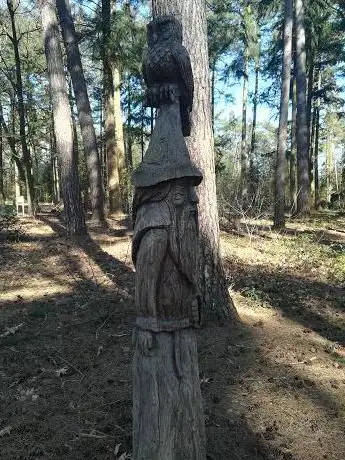 Stapelblokken  bosspeeltuin