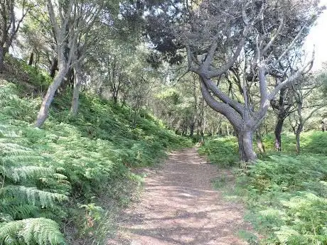 Photo de Paseo de la Costa